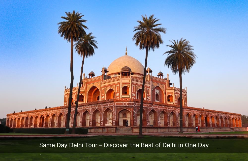 same-day-delhi-tour-discover-the-best-of-delhi-in-one-day